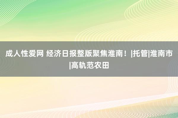 成人性爱网 经济日报整版聚焦淮南！|托管|淮南市|高轨范农田